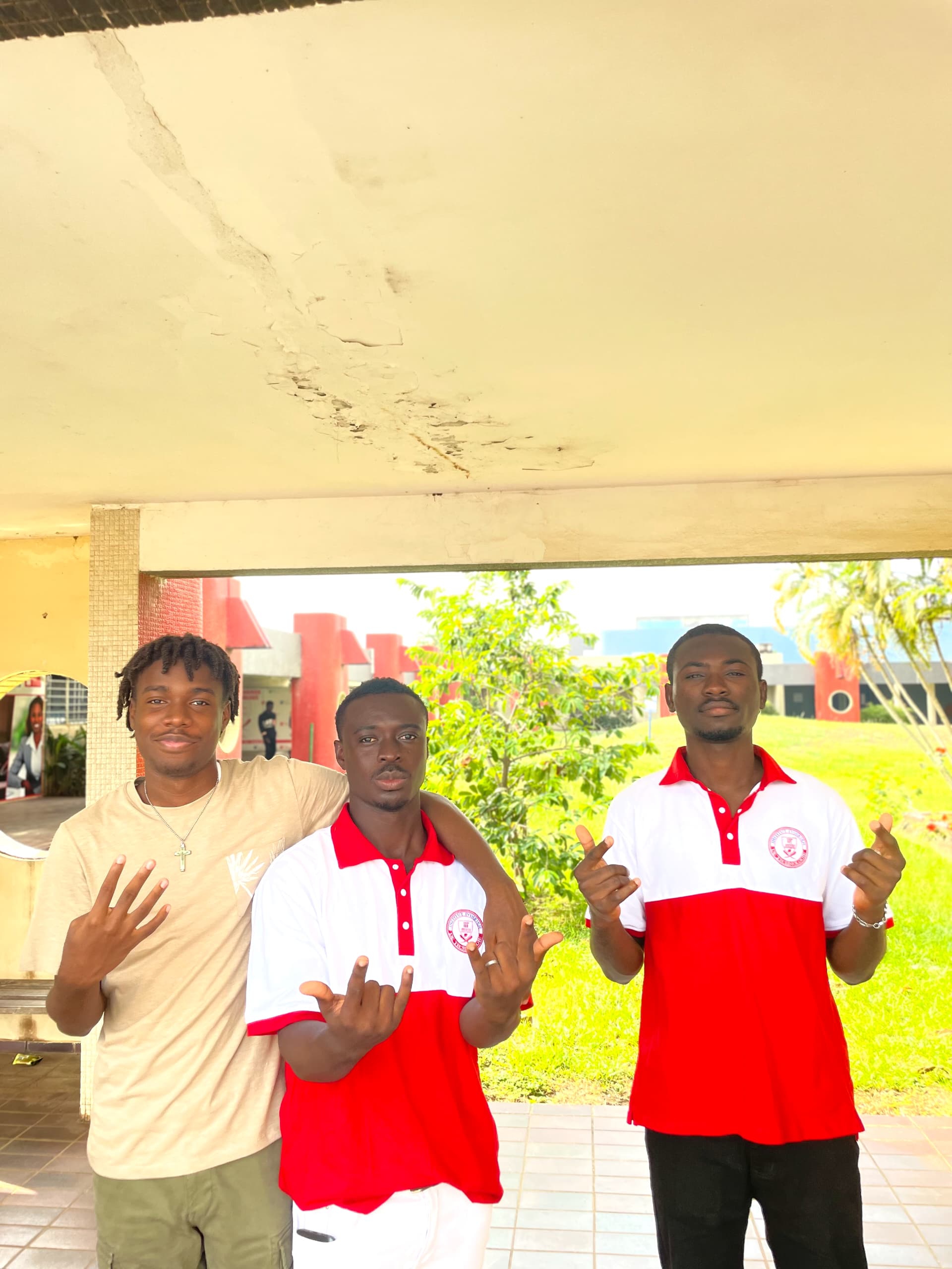 Treffen Sie meine besten Freunde